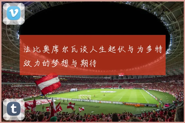 法比奥席尔瓦谈人生起伏与为多特效力的梦想与期待
